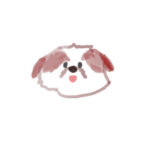 small furry dog face